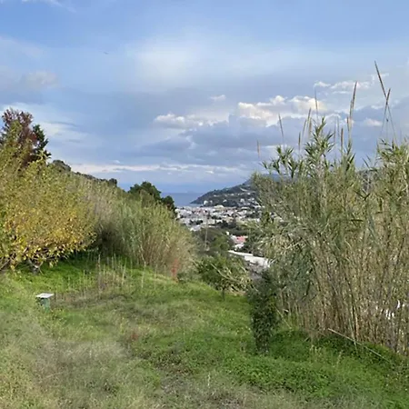 Casa Lucia *